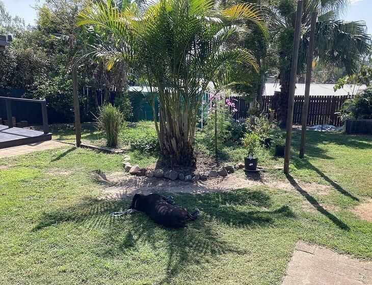 Deception Bay, Queensland - Image 4