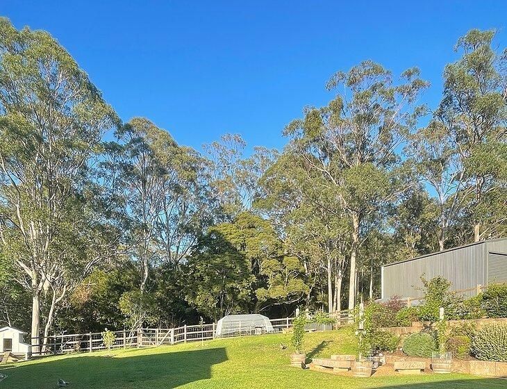 Wongawilli, New South Wales - Image 2