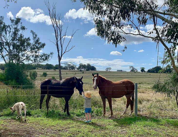 Meringandan West, Queensland