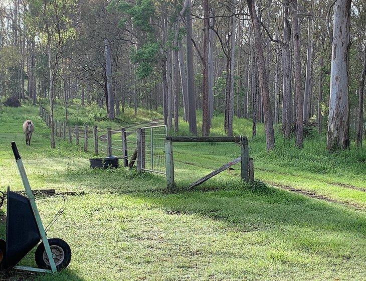 Wilsons Pocket, Queensland