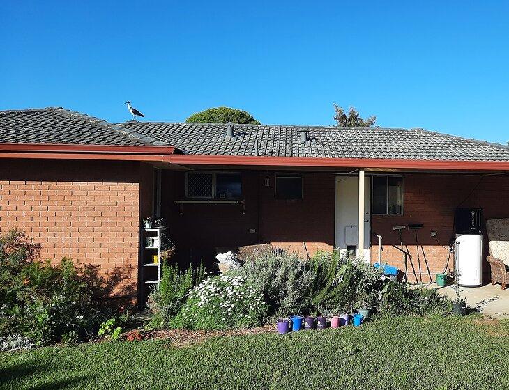 Orana, Western Australia