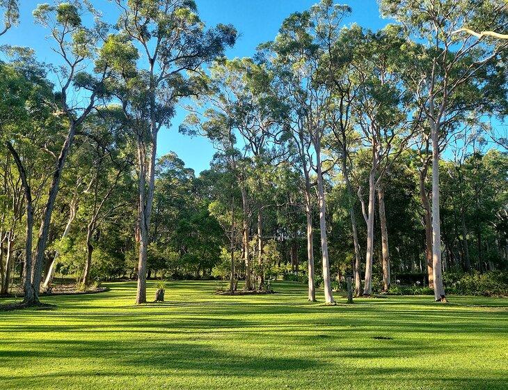 Medowie, New South Wales