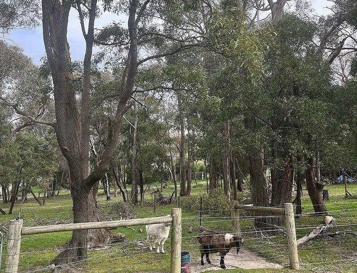 Macedon, Victoria