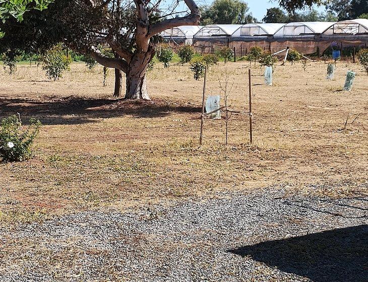 Macdonald Park, South Australia