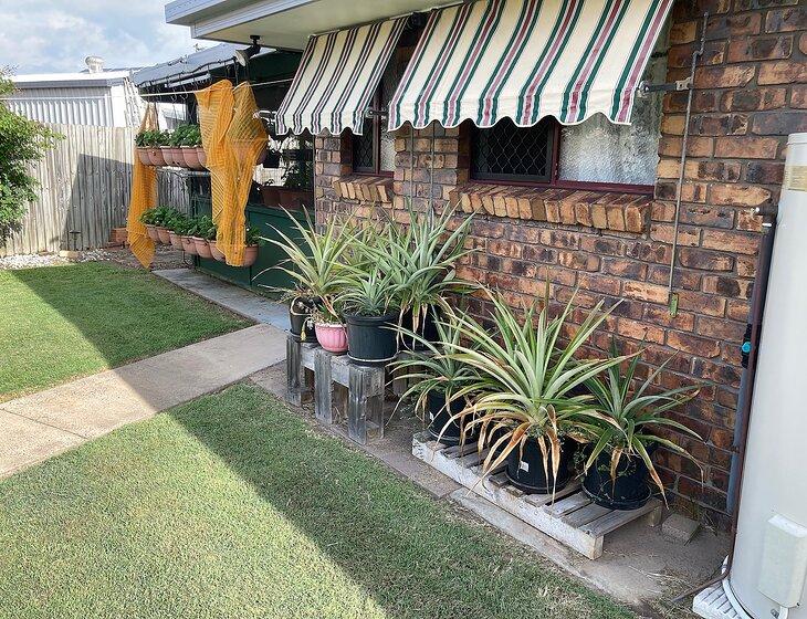 Eli Waters, Hervey Bay, Queensland