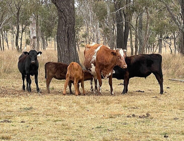 Broxburn, Queensland - Image 4