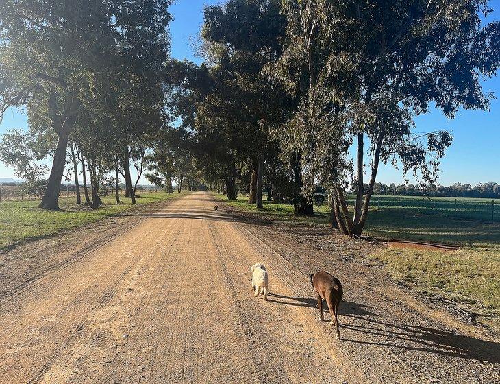 Cowra, New South Wales