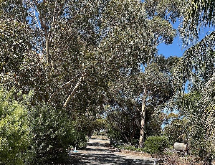 Swan Hill, Victoria