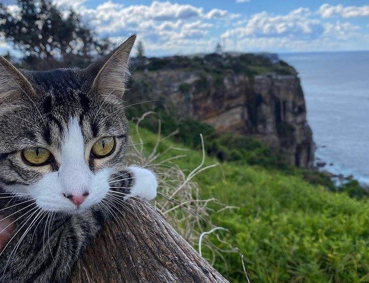 Mascot, New South Wales