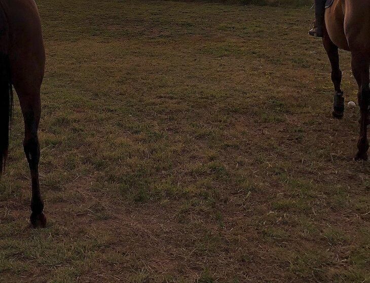 Warroo, New South Wales - Image 4