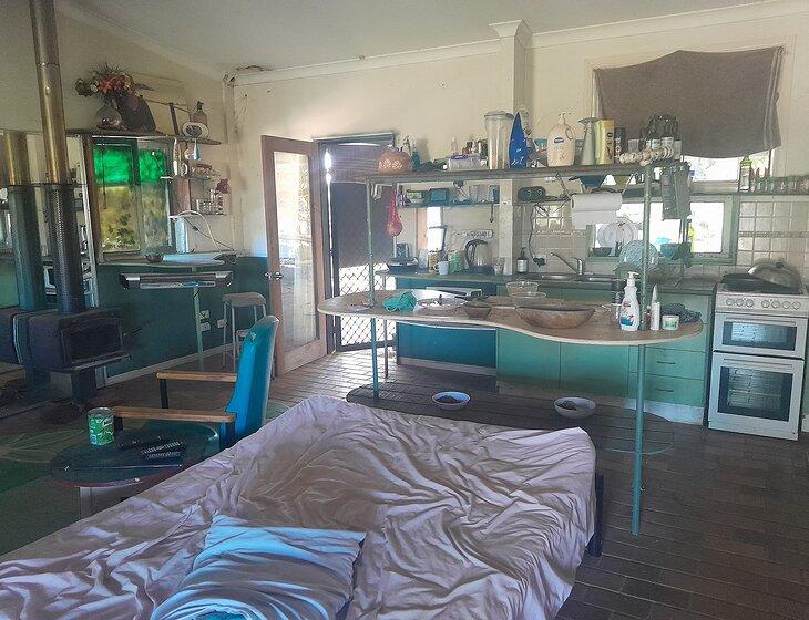 Canina, Queensland