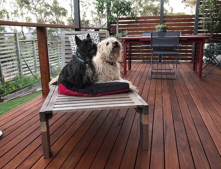 Mittagong, New South Wales