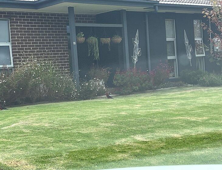 Leongatha, Victoria - Image 6