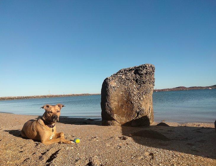 Dampier, Western Australia