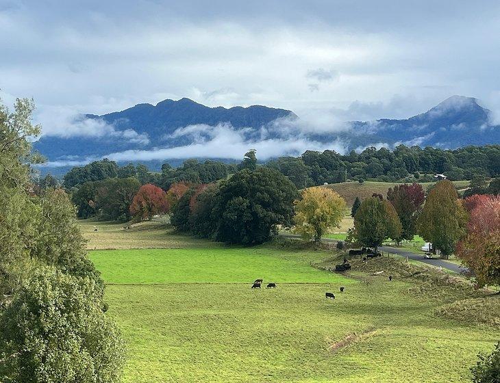 Bellingen, New South Wales