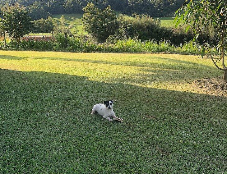 Mena Creek, Queensland