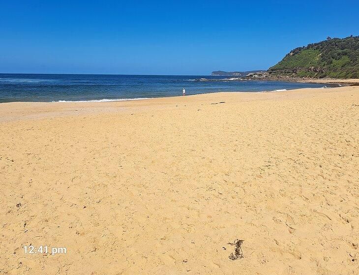 Forresters Beach, New South Wales - Image 2