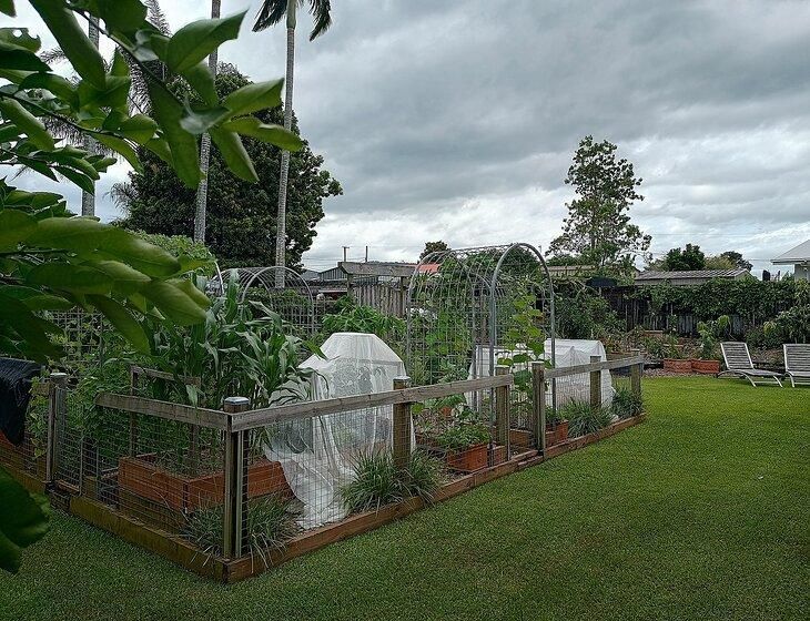 Beerwah, Queensland - Image 2