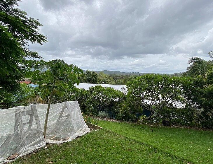 Elanora, Queensland - Image 7