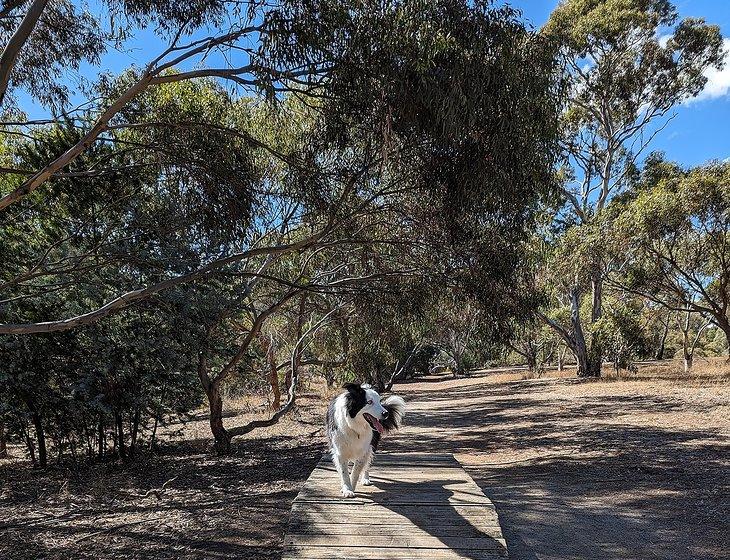 Morphett Vale, South Australia