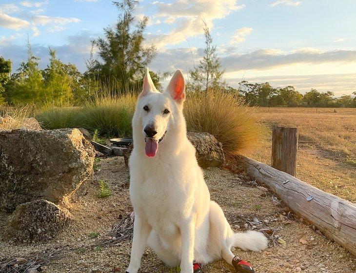 Dimbulah, Queensland