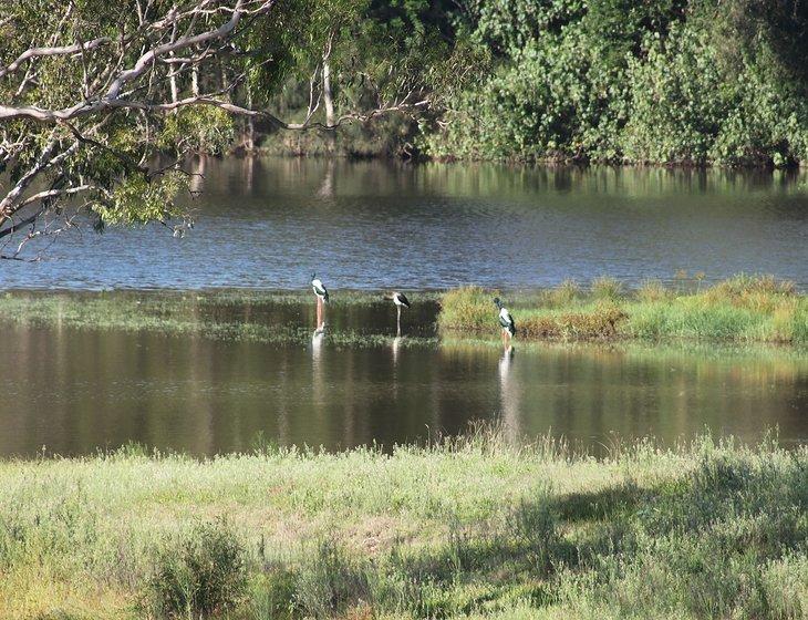 Tinana South, Queensland