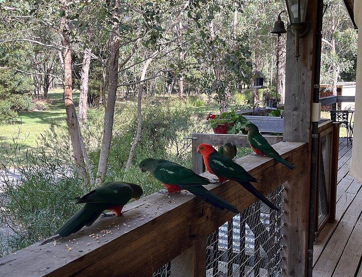 Woodend, Victoria