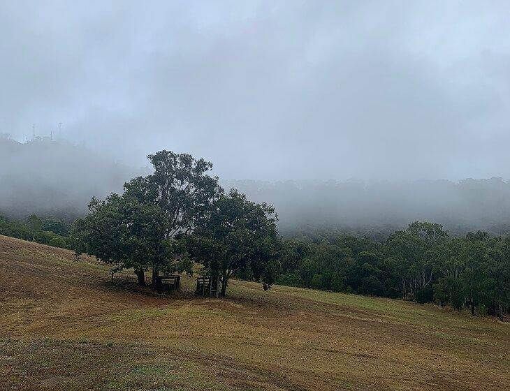Adelaide Park, Queensland - Image 2