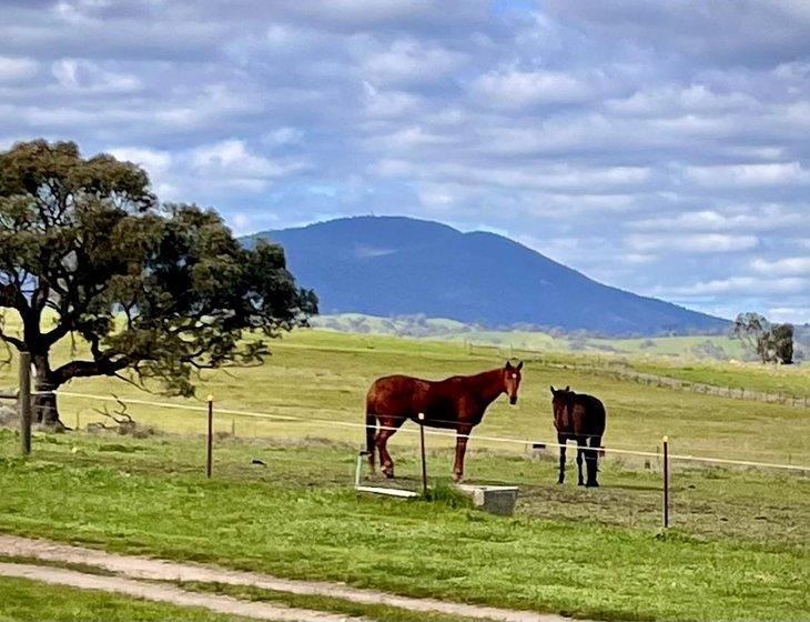 Sugarloaf Creek, Victoria