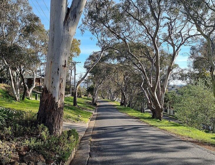 West Albury, New South Wales - Image 3