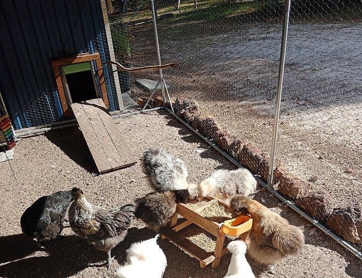 Keysbrook, Western Australia - Image 3