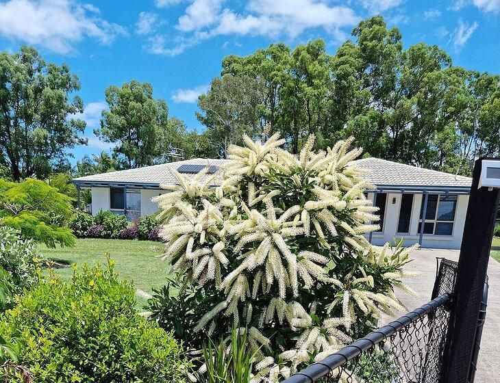 Ningi, Queensland