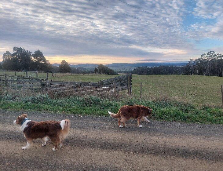Meander, Tasmania