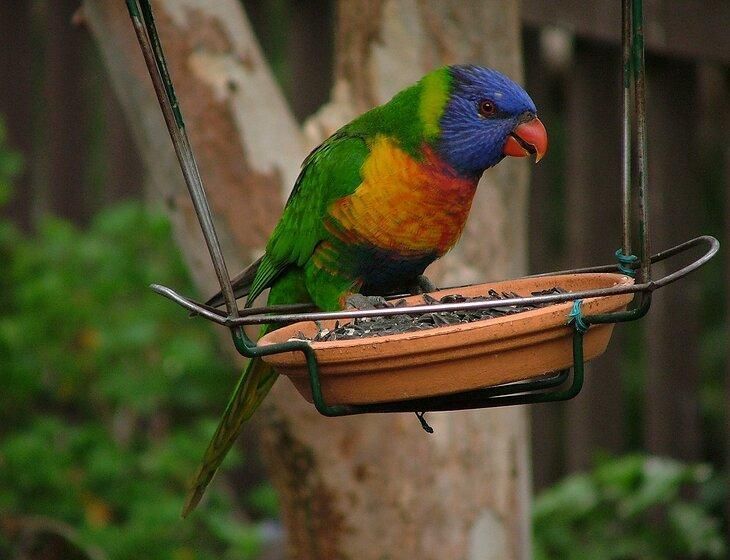 Yarrambat, Victoria - Image 5