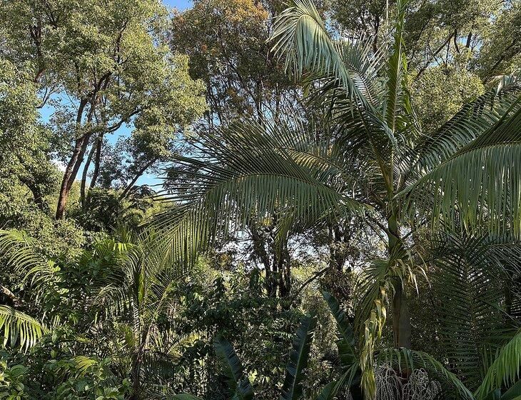 Murwillumbah, New South Wales - Image 5