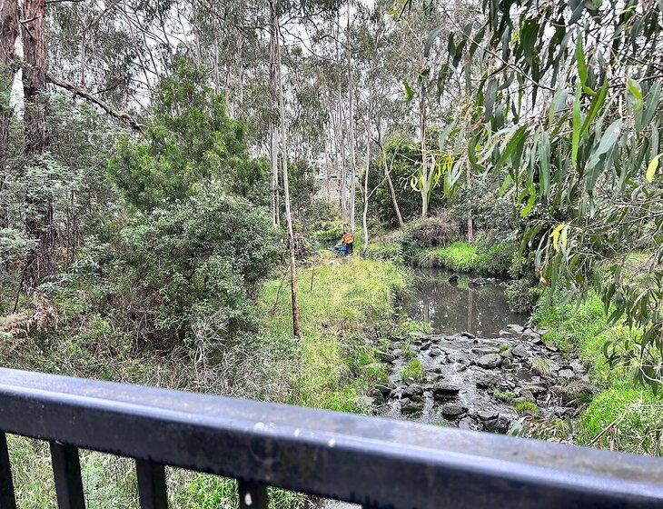 Ringwood, Victoria