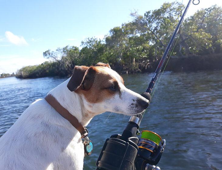 Beerburrum, Queensland