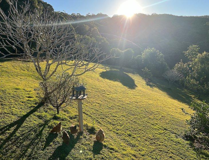 Diamond Valley, Queensland