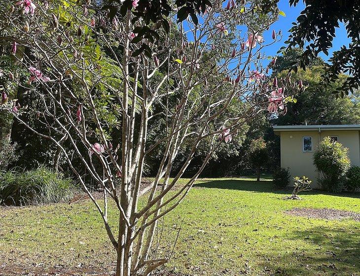 Maleny, Queensland