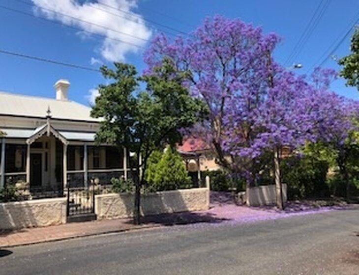 Prospect, South Australia