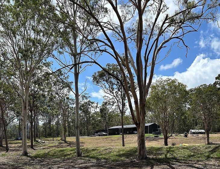 Wolvi, Queensland - Image 7