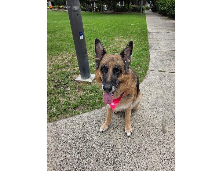 Rosebery, New South Wales - Image 2