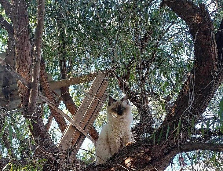 Geraldton, Western Australia