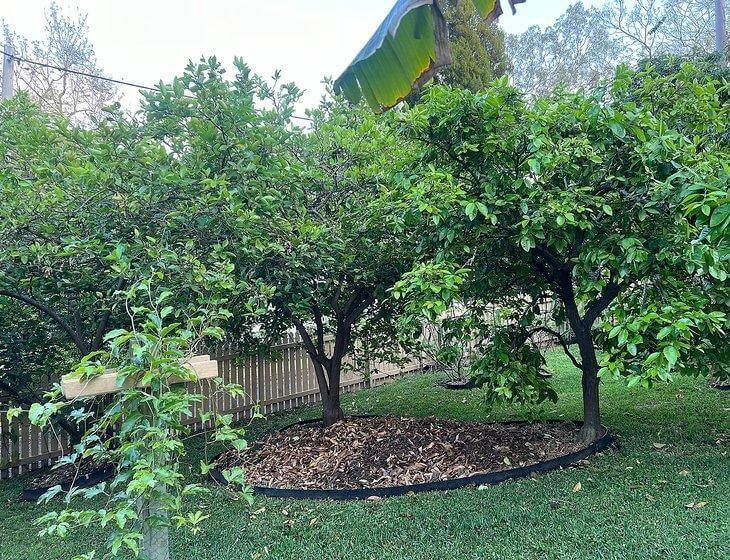 Toowong, Queensland - Image 4