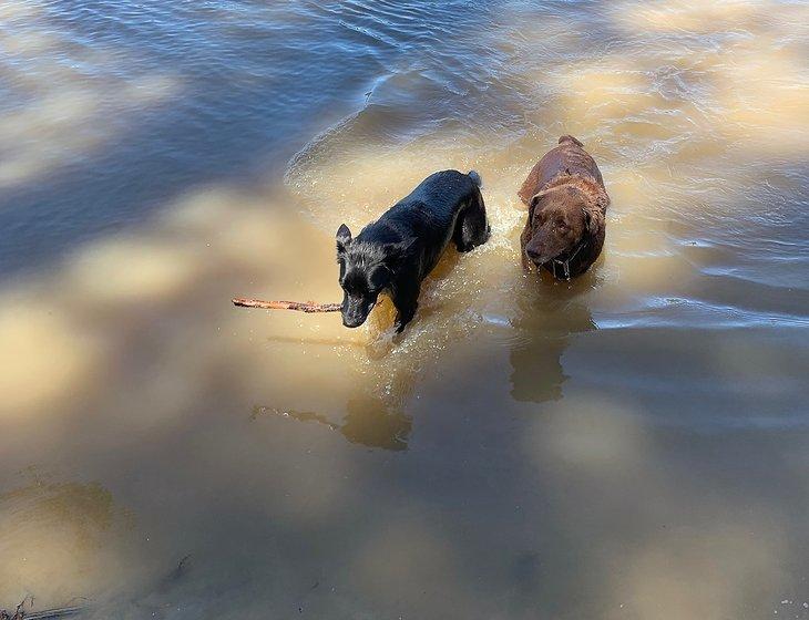 Mildura, Victoria