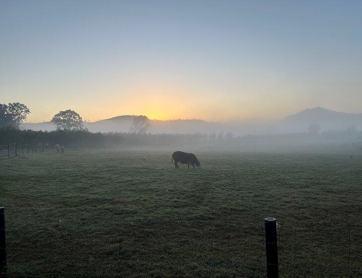 Gregors Creek, Queensland