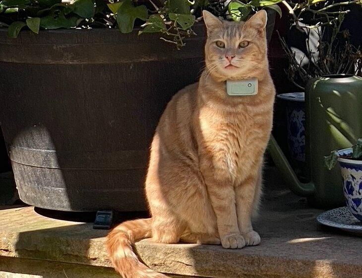 Berrima, New South Wales - Image 5