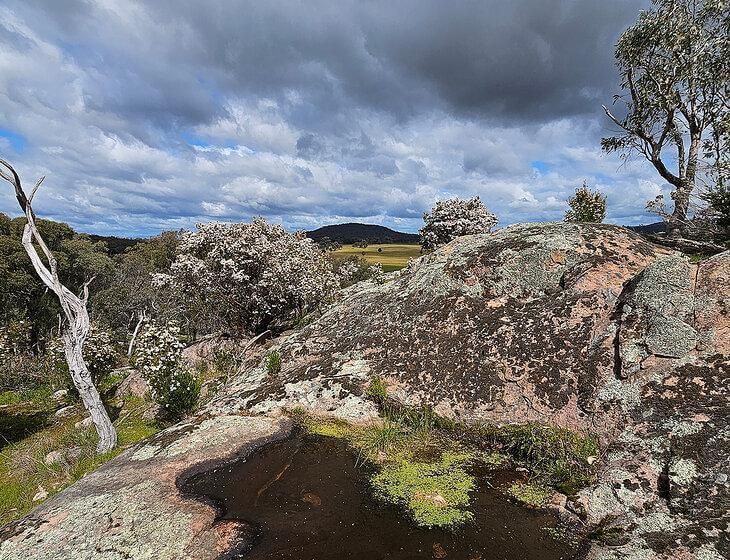 Chesney Vale, Victoria - Image 5