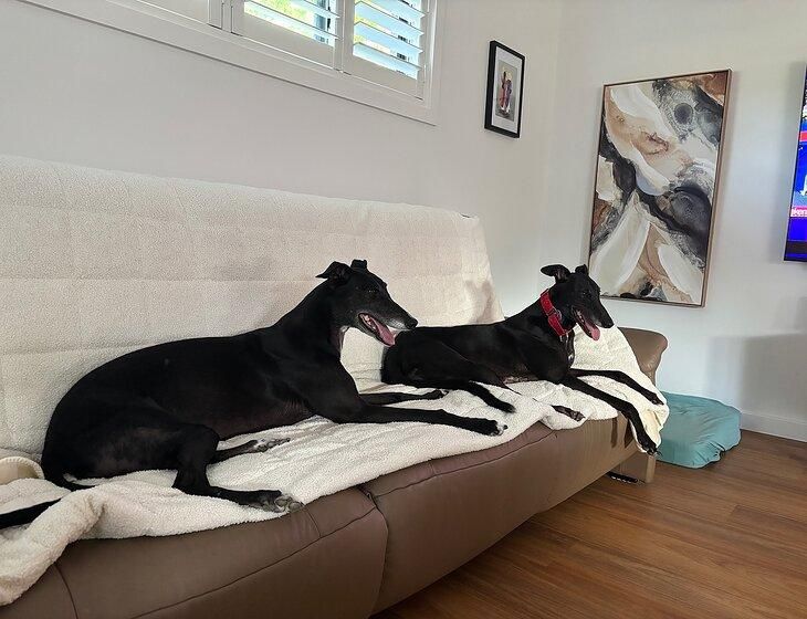 New Lambton, New South Wales