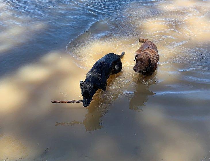 Mildura, Victoria